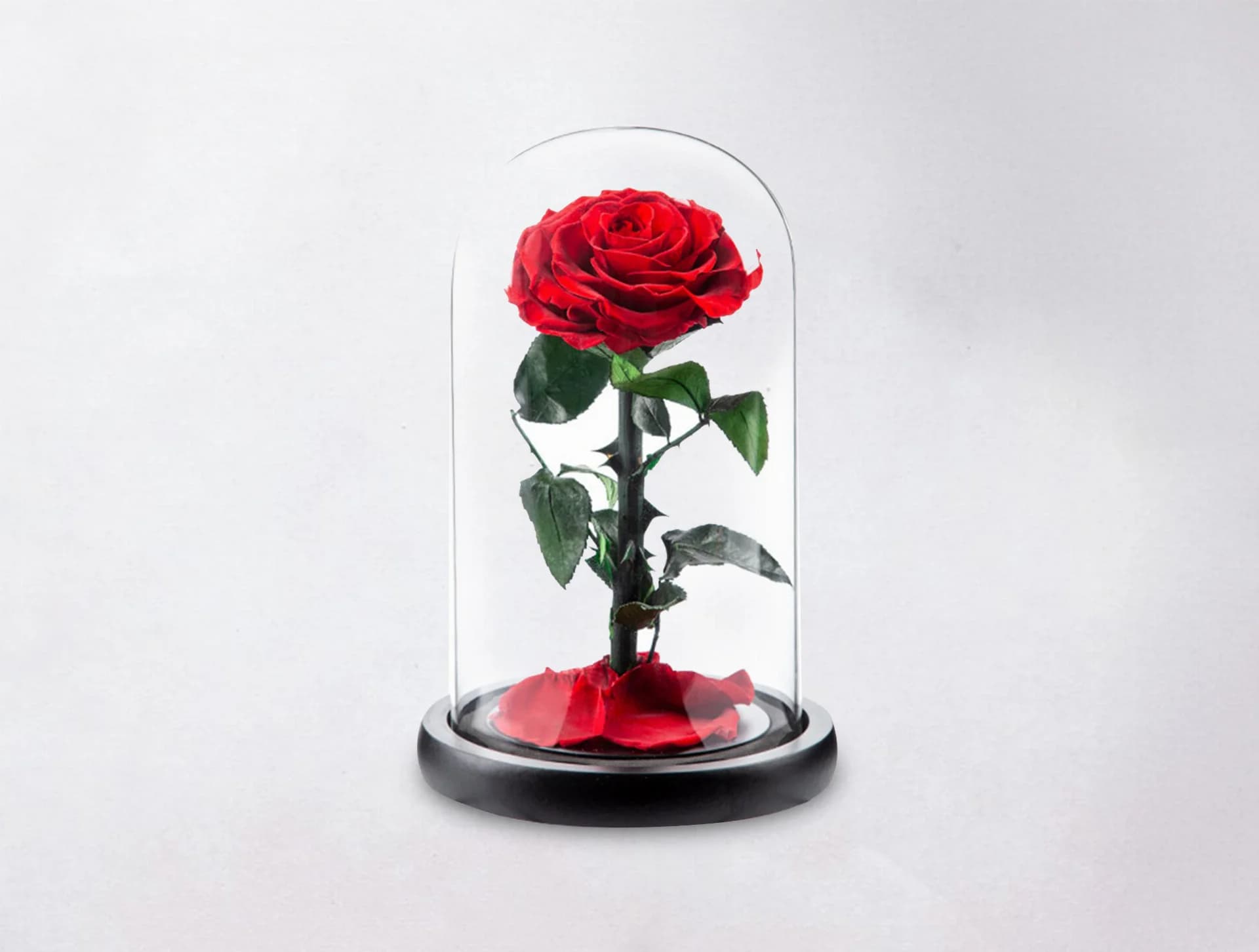 Infinity Flower With Box Medium