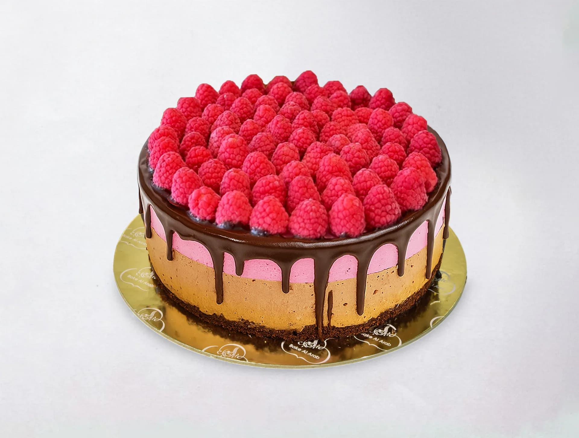 Choco Raspberry Ice Cream Cake